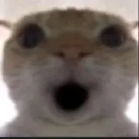 DIO007的头像-系语社区_XiYUBBS_刷机社区_科技数码综合交流论坛_系语社区官网